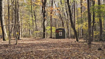 Un'area boschiva con un piccolo deposito con scritto 'Robenndorf' e un sentiero ricoperto di foglie cadute.