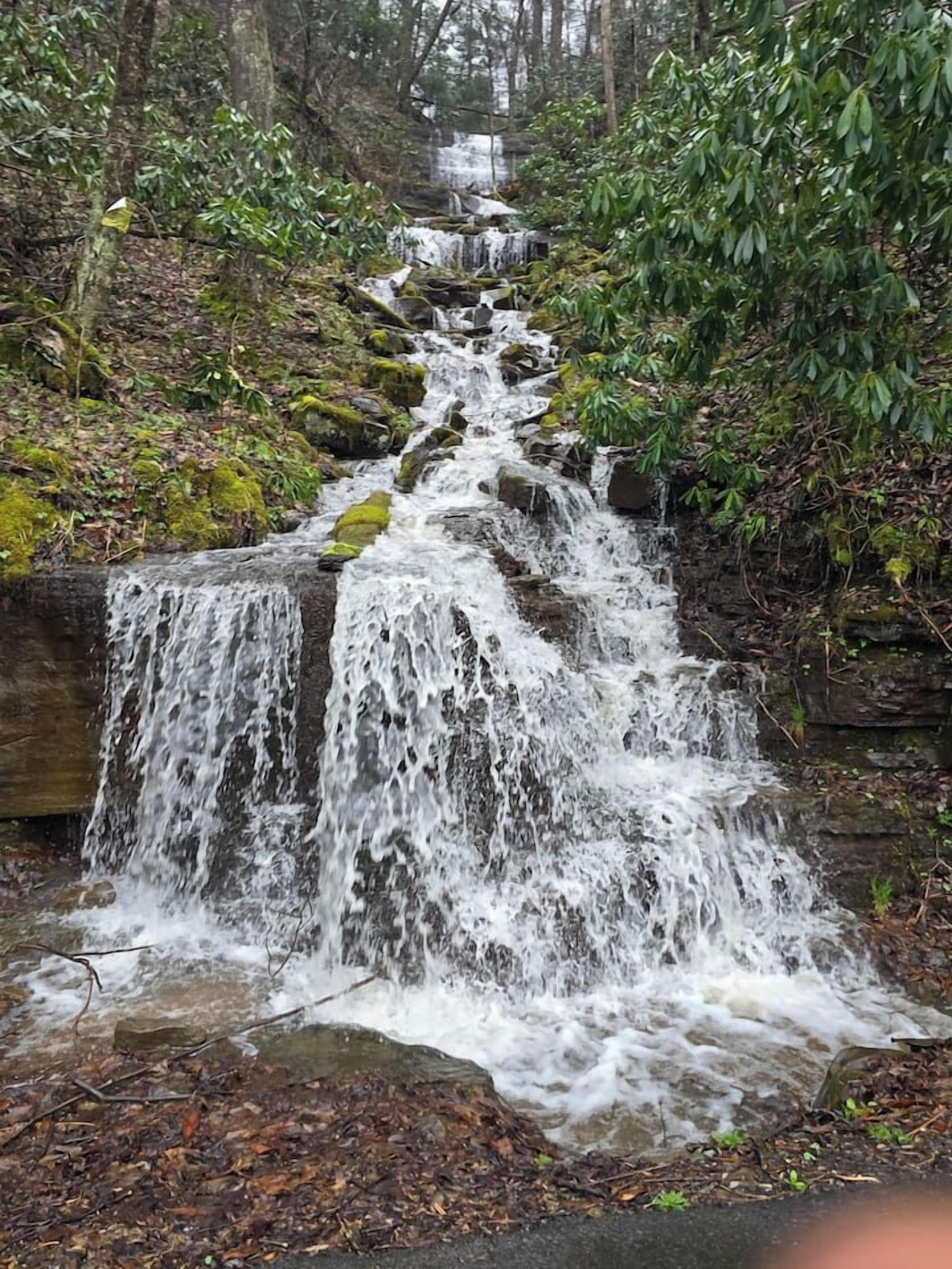 A multi-tiered waterfall in a forested area.