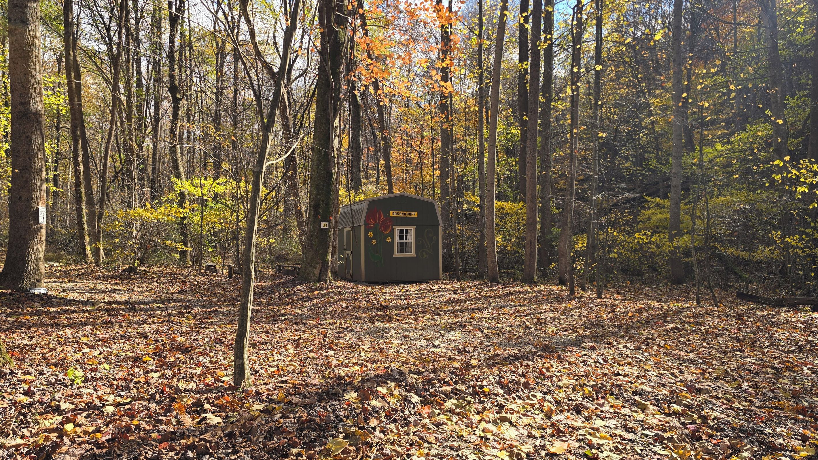 Une cabane au cœur d’une forêt, accessible par un sentier bien tracé.