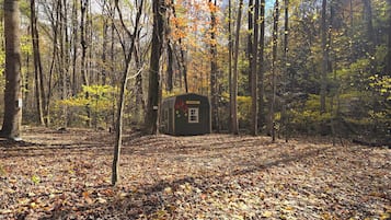 Une cabane au cœur d’une forêt, accessible par un sentier bien tracé.