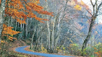 A winding road through a forest with autumn foliage.