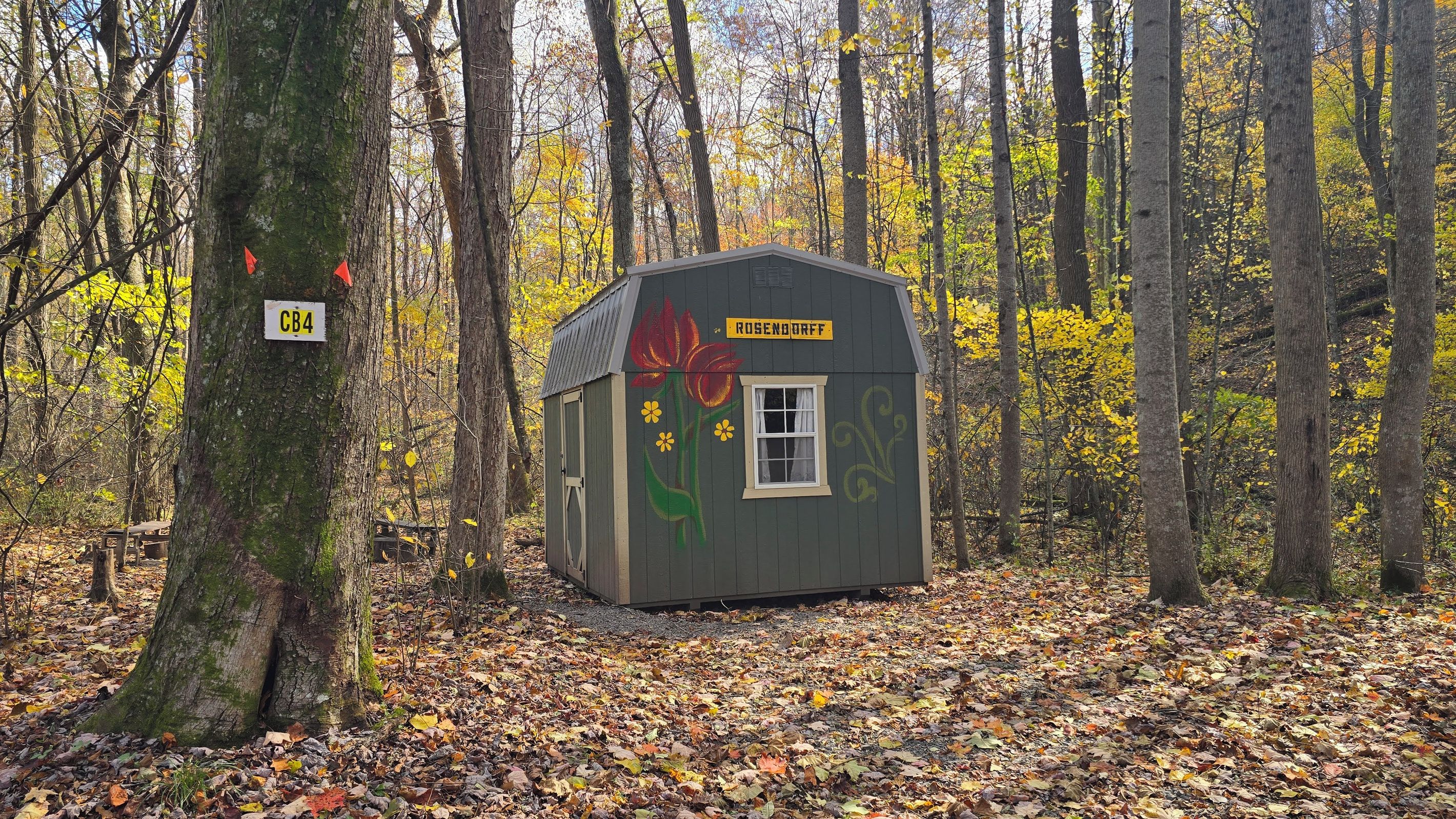Una piccola baita con un murale floreale, immersa in una foresta autunnale.