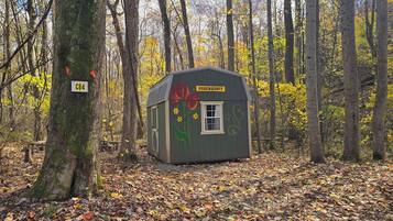Una piccola baita con un murale floreale, immersa in una foresta autunnale.