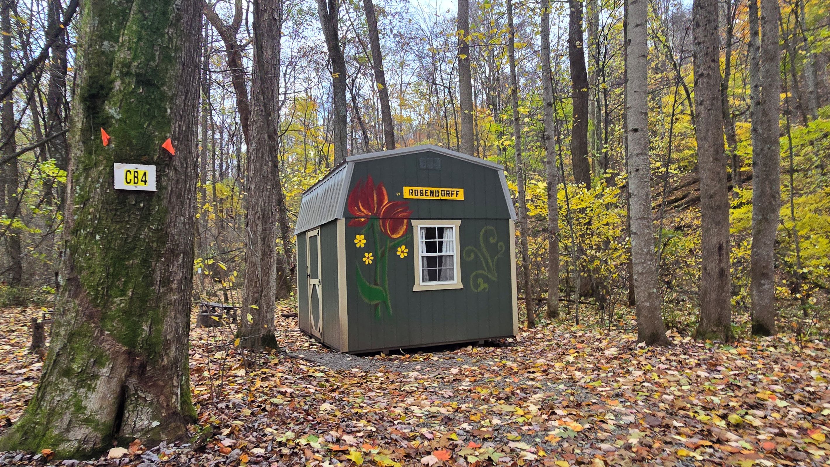 A small cabin with a flower mural, surrounded by a forest with fallen leaves.