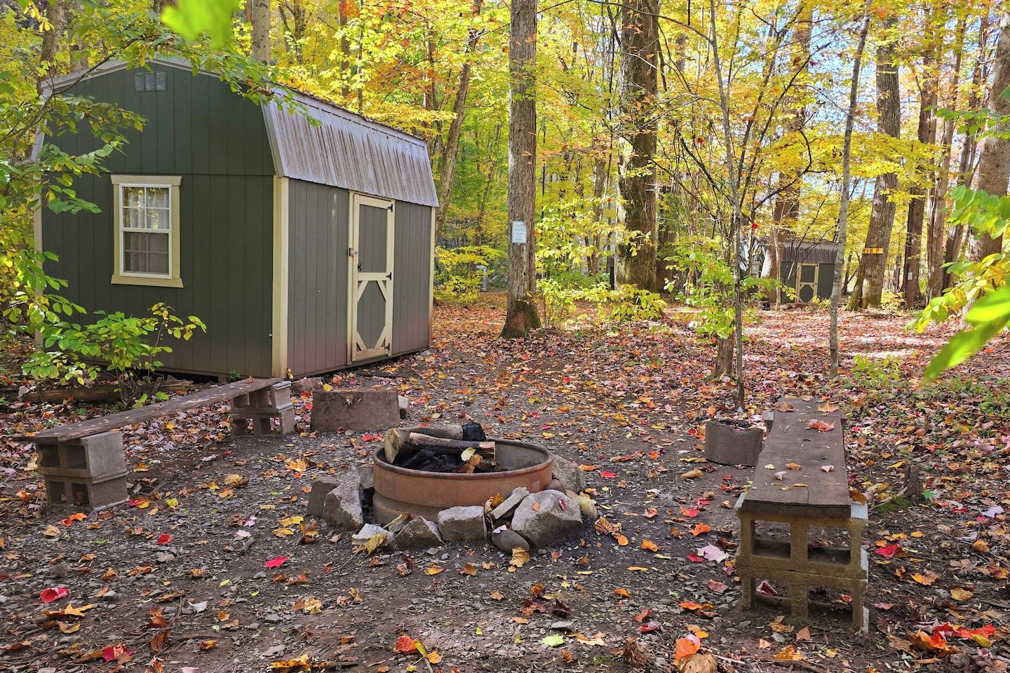 A rustic cabin with a fire pit and benches in a forested area.