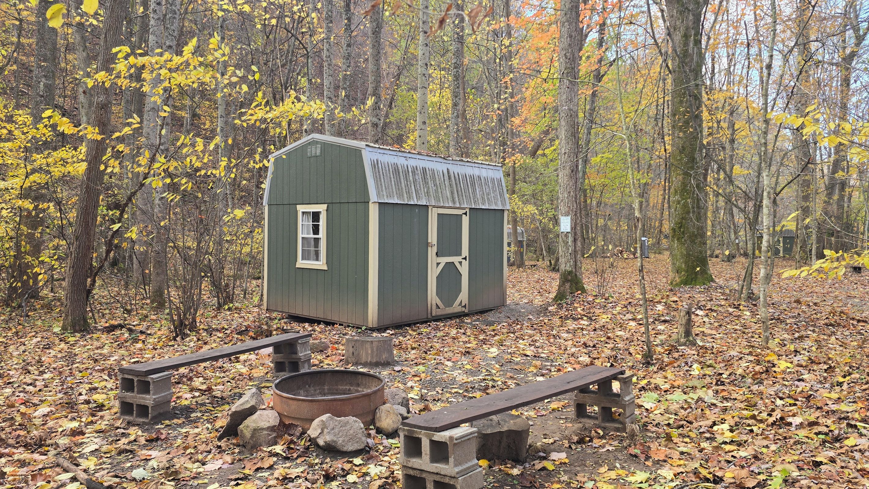 Una pequeña cabaña de madera con techo de metal, rodeada por un bosque de hojas otoñales.