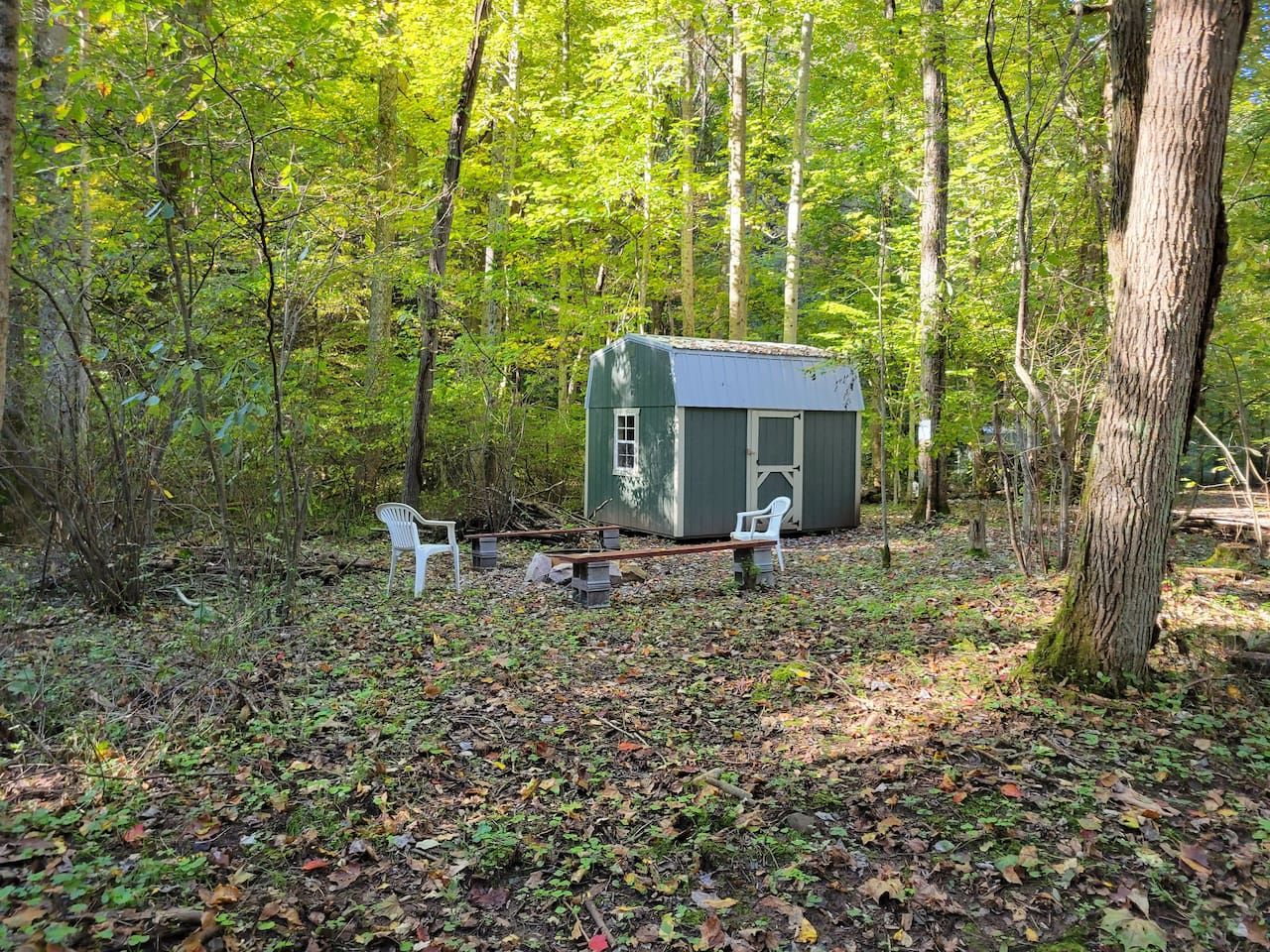 A small cabin with a shed in a wooded area, surrounded by trees and a bench.