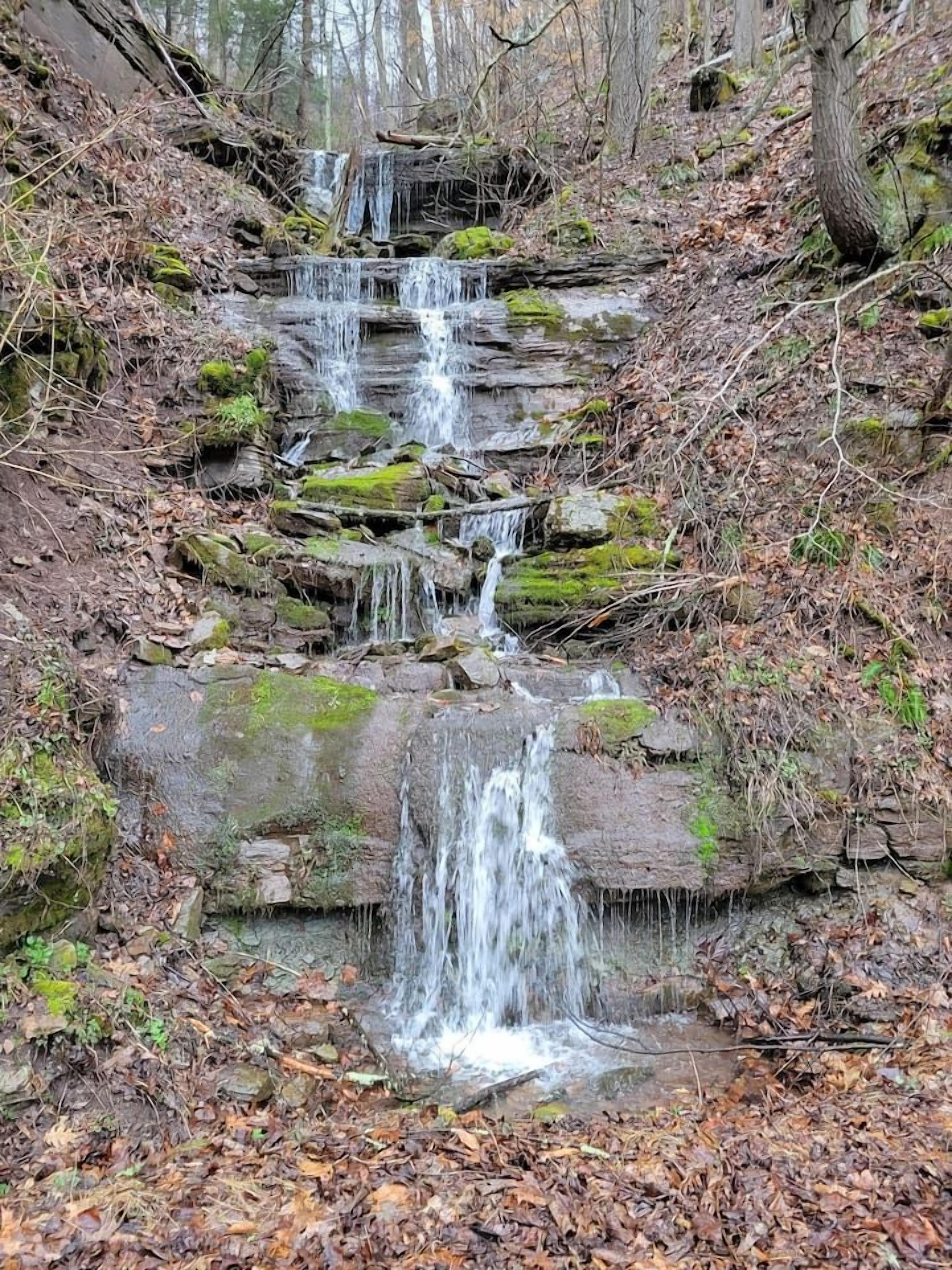 A waterfall cascading over a series of rocky steps in a forested area.