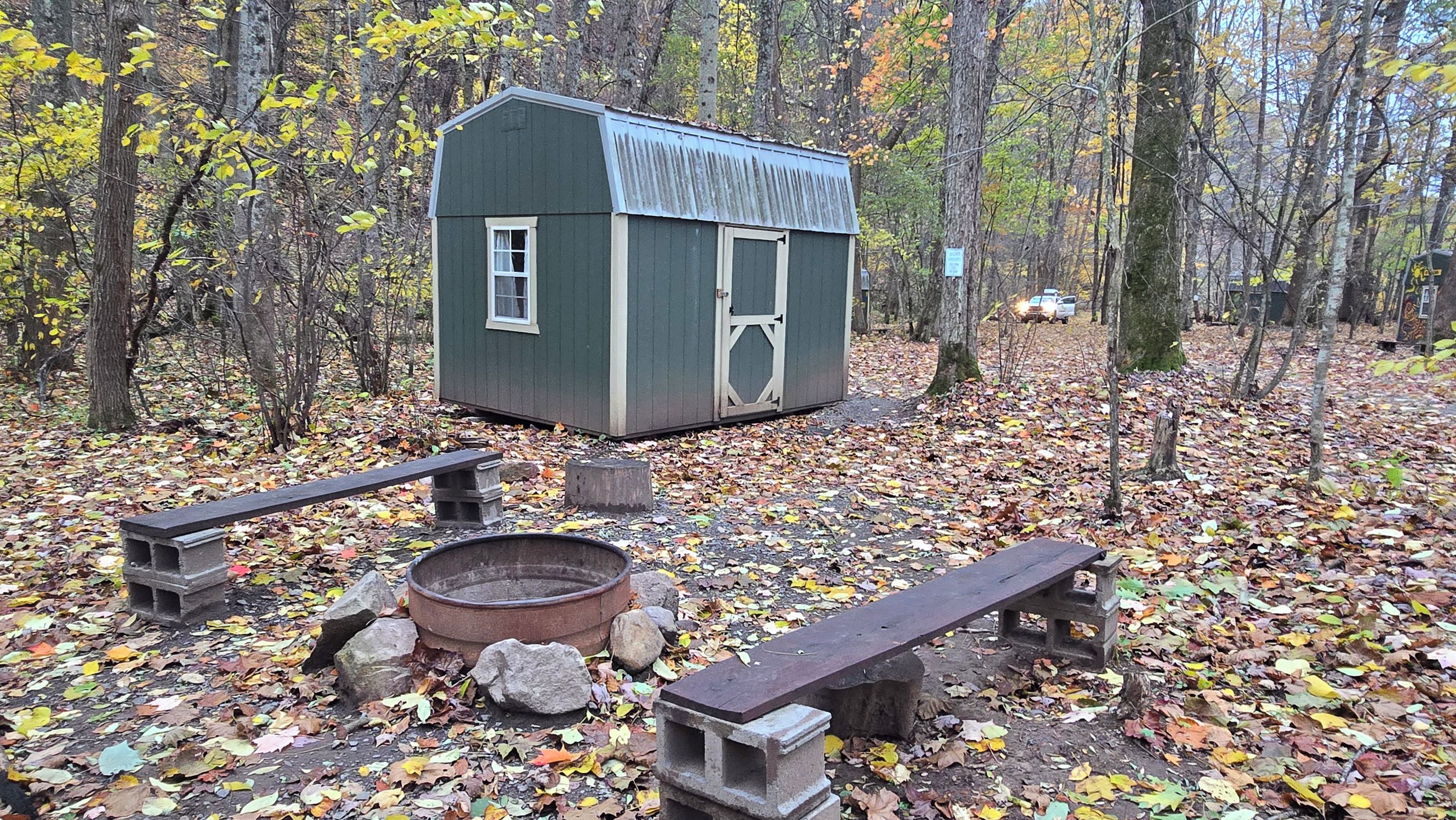 A rustic cabin with a metal roof, surrounded by a forest with fallen leaves. There are two benches and a fire pit in the foreground.