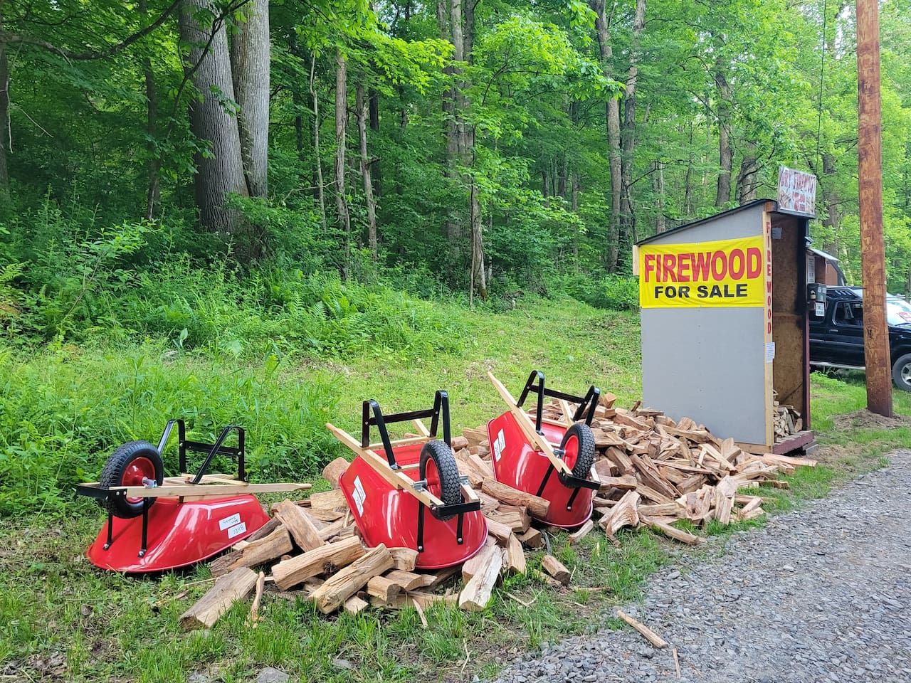 A wooded area with a sign for firewood for sale and a small shed.