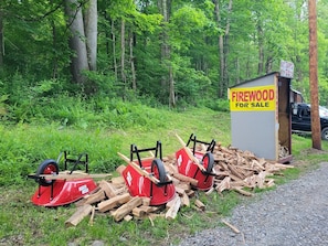 A wooded area with a sign for firewood for sale and a small shed. - The St. George - Cabin CB5 electric/heat (Parsons)