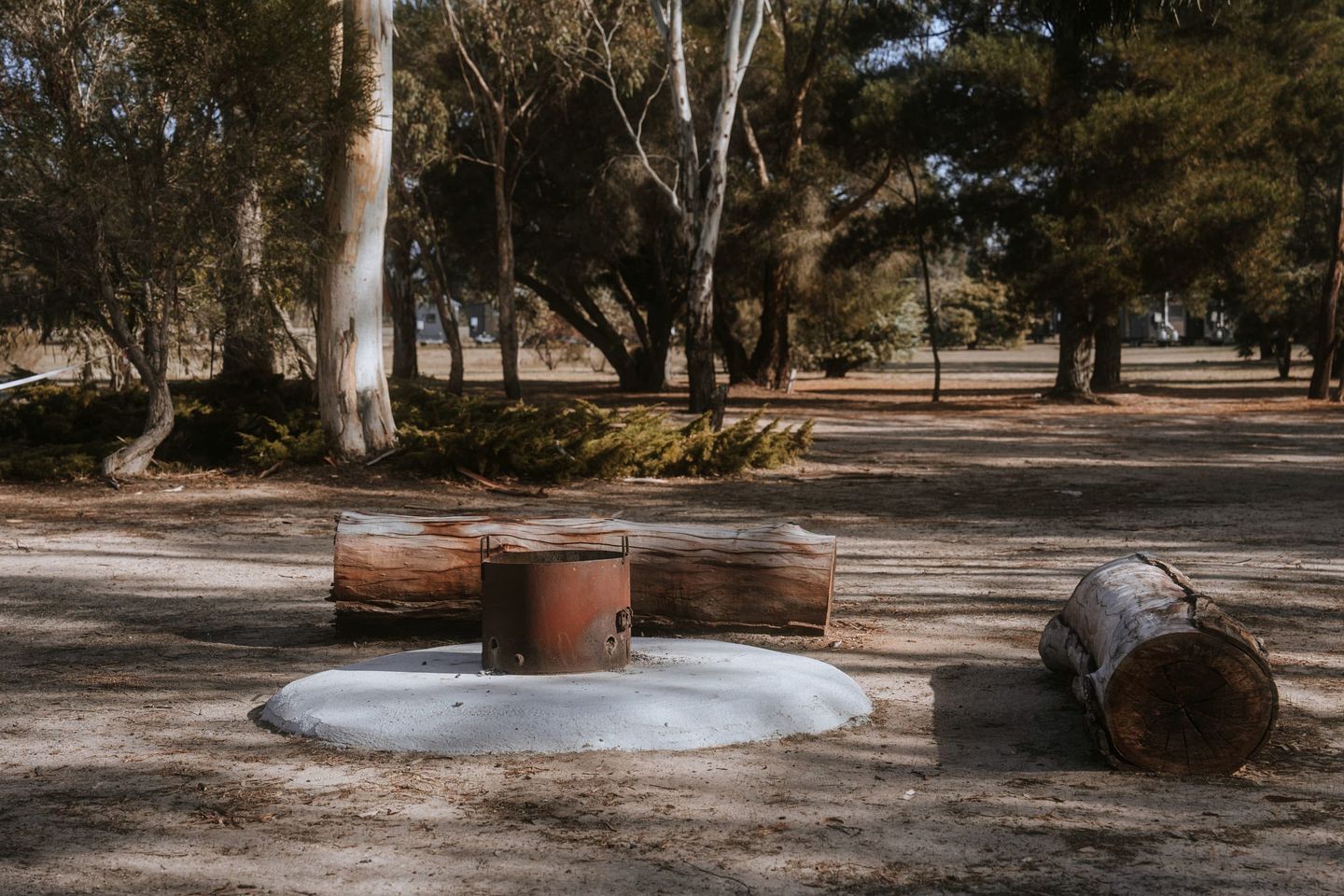 A park with a concrete structure, logs, and trees.