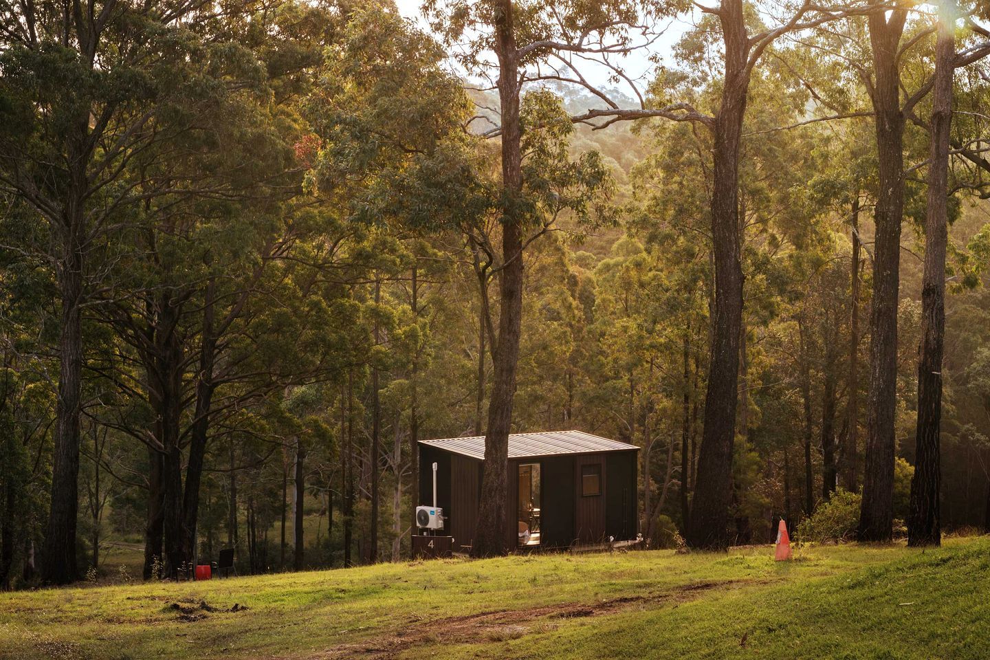 A small cabin in a forested area with a clear path leading to it.