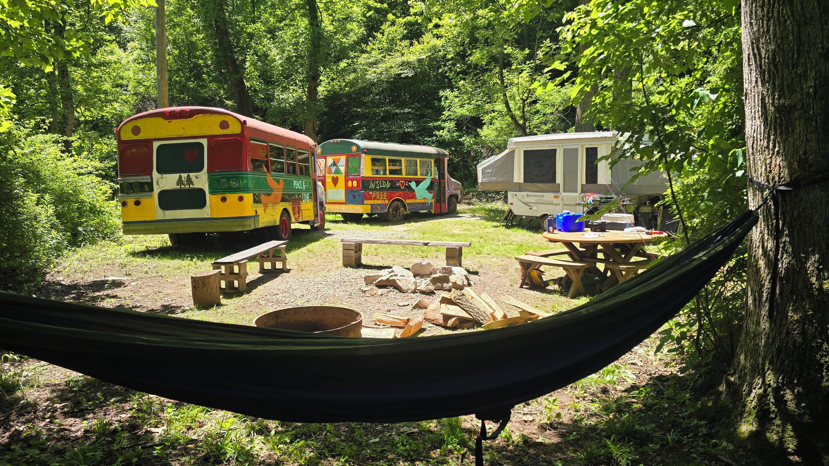 Un hamac tendu entre deux arbres, une table de pique-nique et un camping-car dans une zone boisée.