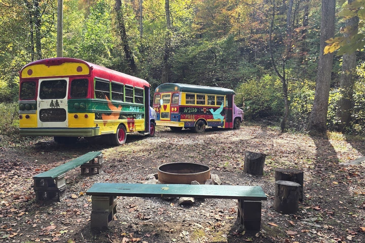 Deux autobus aux couleurs vives sont stationnés dans une zone boisée, où se trouvent des tables de pique-nique et un foyer.