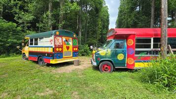 Two colorful buses parked in a grassy area with trees in the background.