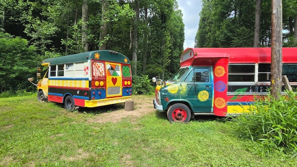 Two colorful buses parked in a grassy area with trees in the background.