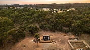 A remote cabin surrounded by dense forest, with a dirt path leading to it.
