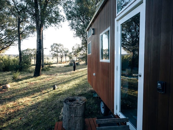 A small wooden cabin with a glass door, situated in a grassy area with trees in the background.
