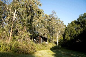 Eine abgelegene Holzhütte, umgeben von dichtem Wald.