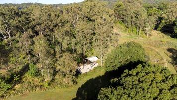 Un chalet isolé, entouré d’une forêt dense, offrant une vue dégagée sur le paysage environnant.