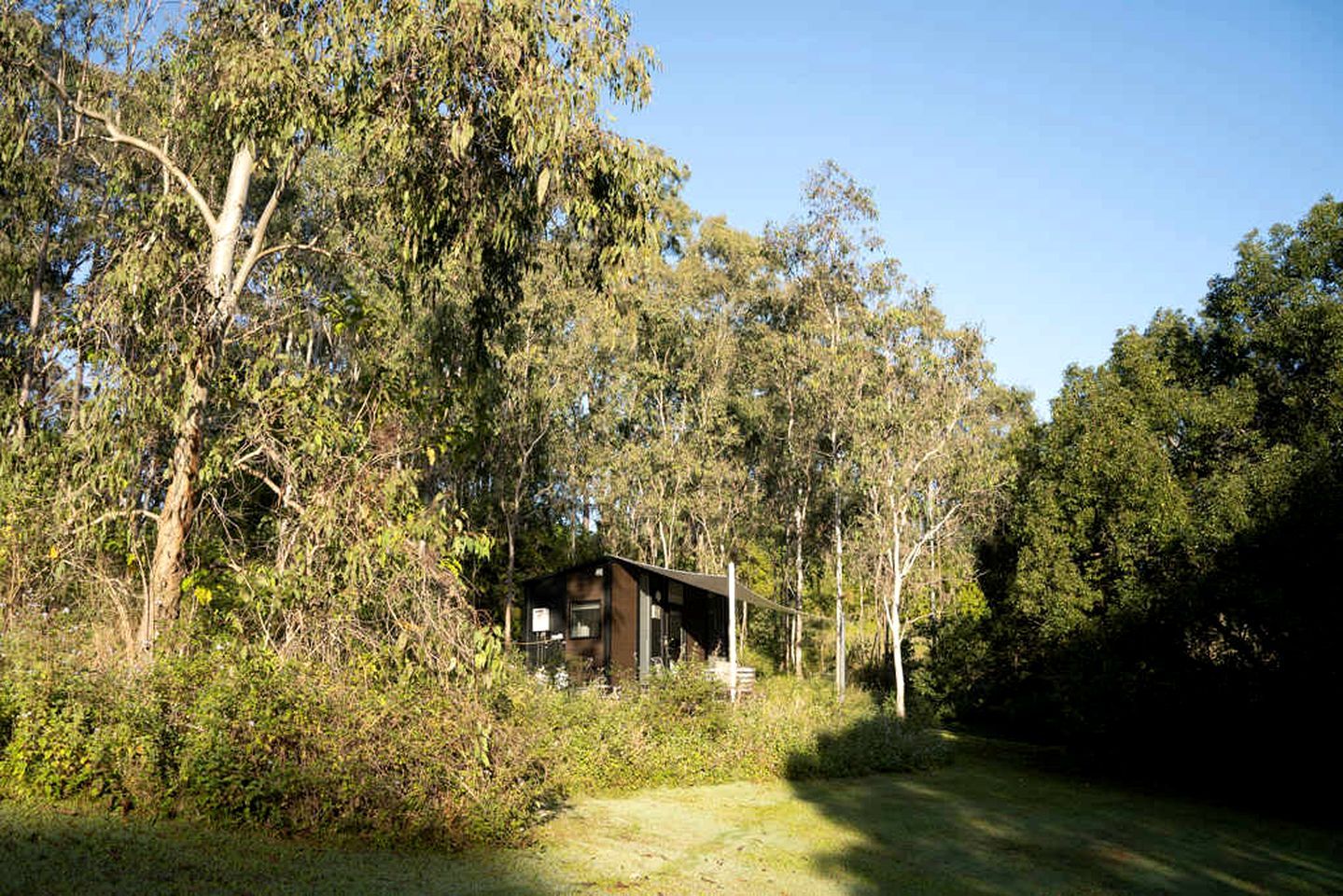 Eine abgelegene Holzhütte, umgeben von dichtem Wald.