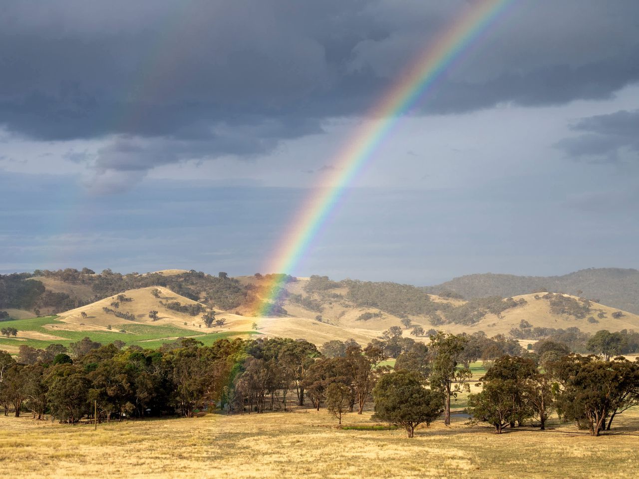 A landscape with a rainbow over rolling hills and trees.
