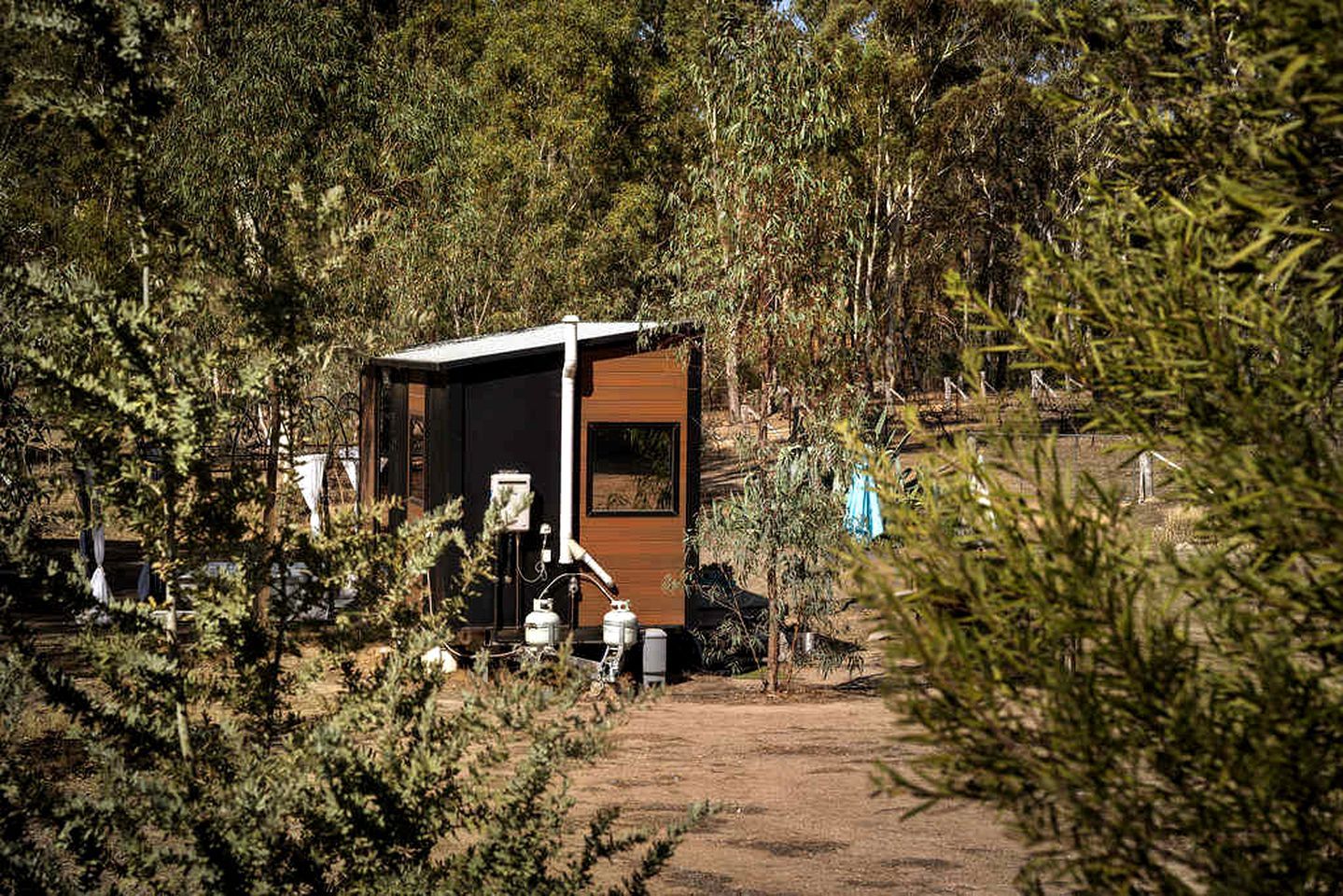 A small, modern cabin with a dirt path leading to it, surrounded by dense greenery.