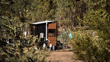 A small, modern cabin with a dirt path leading to it, surrounded by dense greenery.