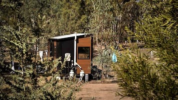 Una cabaña pequeña y moderna con un sendero de tierra que la lleva a ella, rodeada de follaje denso.