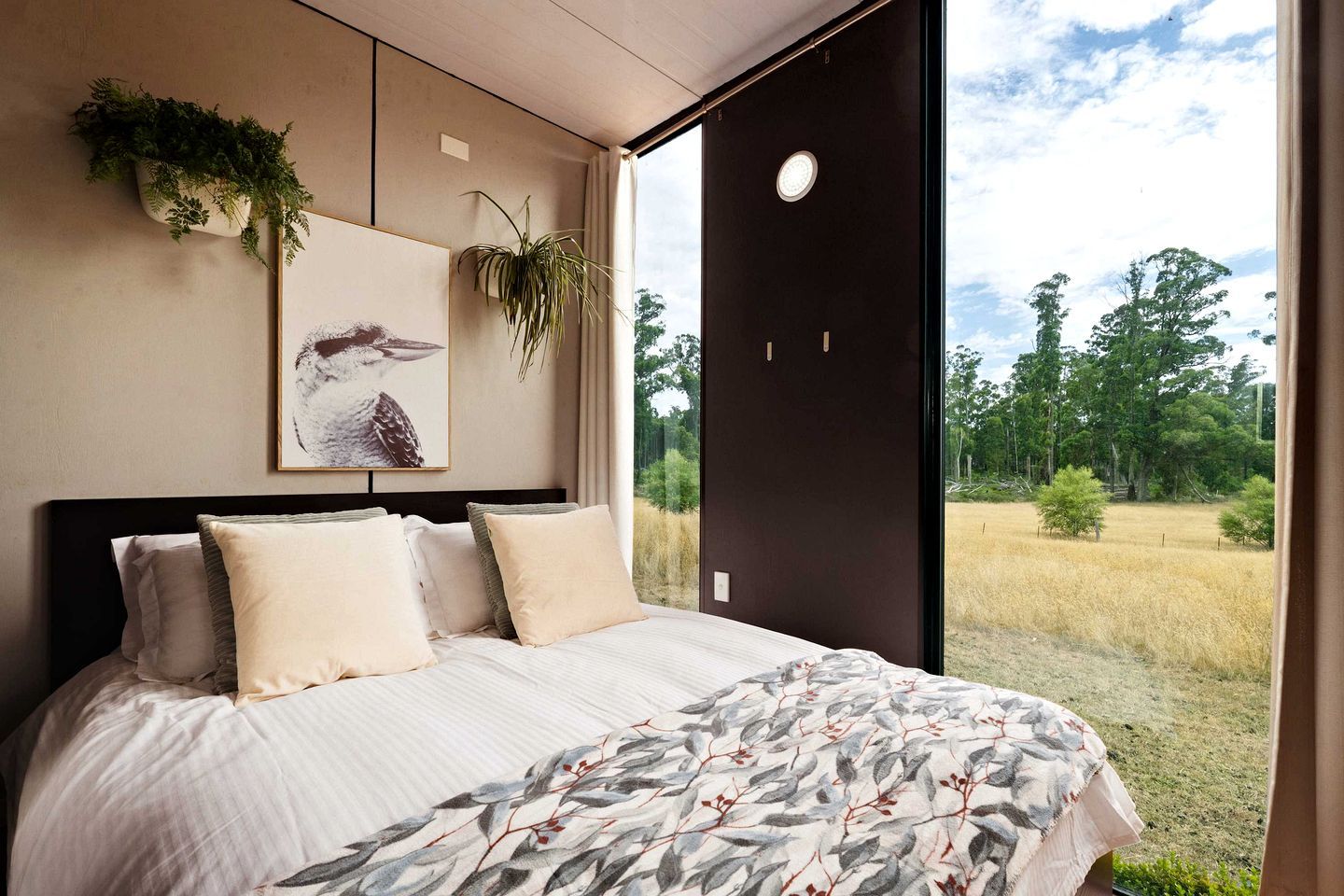 Un dormitorio con una cama grande, vistas a un campo y una planta en la pared.