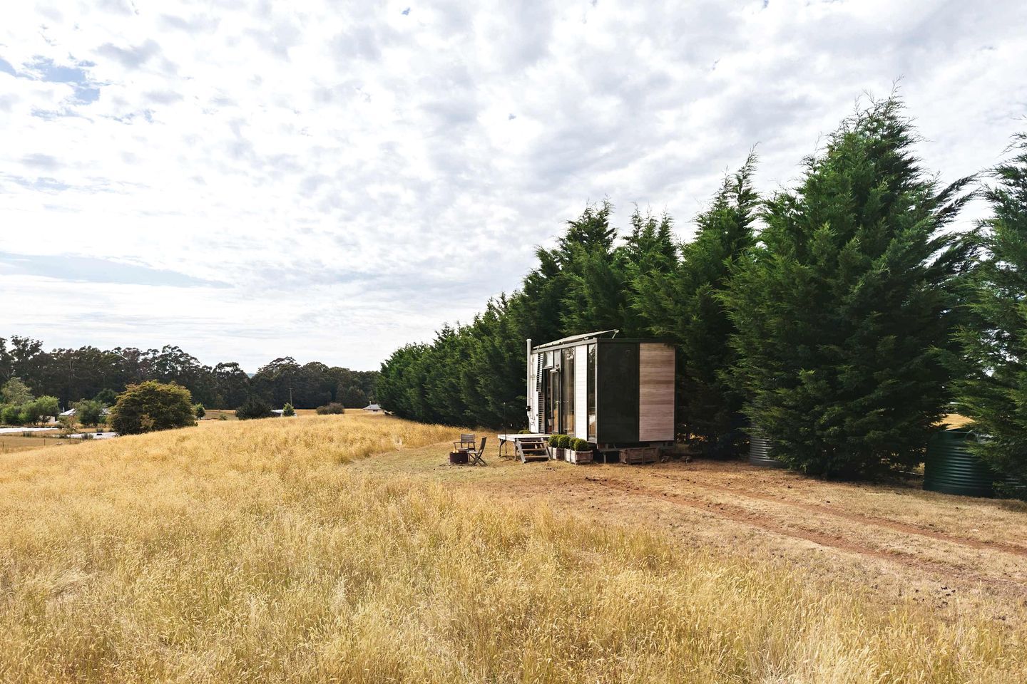 A small cabin with a dirt path leading to it, surrounded by tall trees and dry grass.