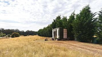 A small cabin with a dirt path leading to it, surrounded by tall trees and dry grass.