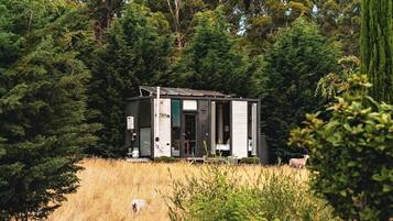 A small, modern cabin with a solar panel, surrounded by dense forest.