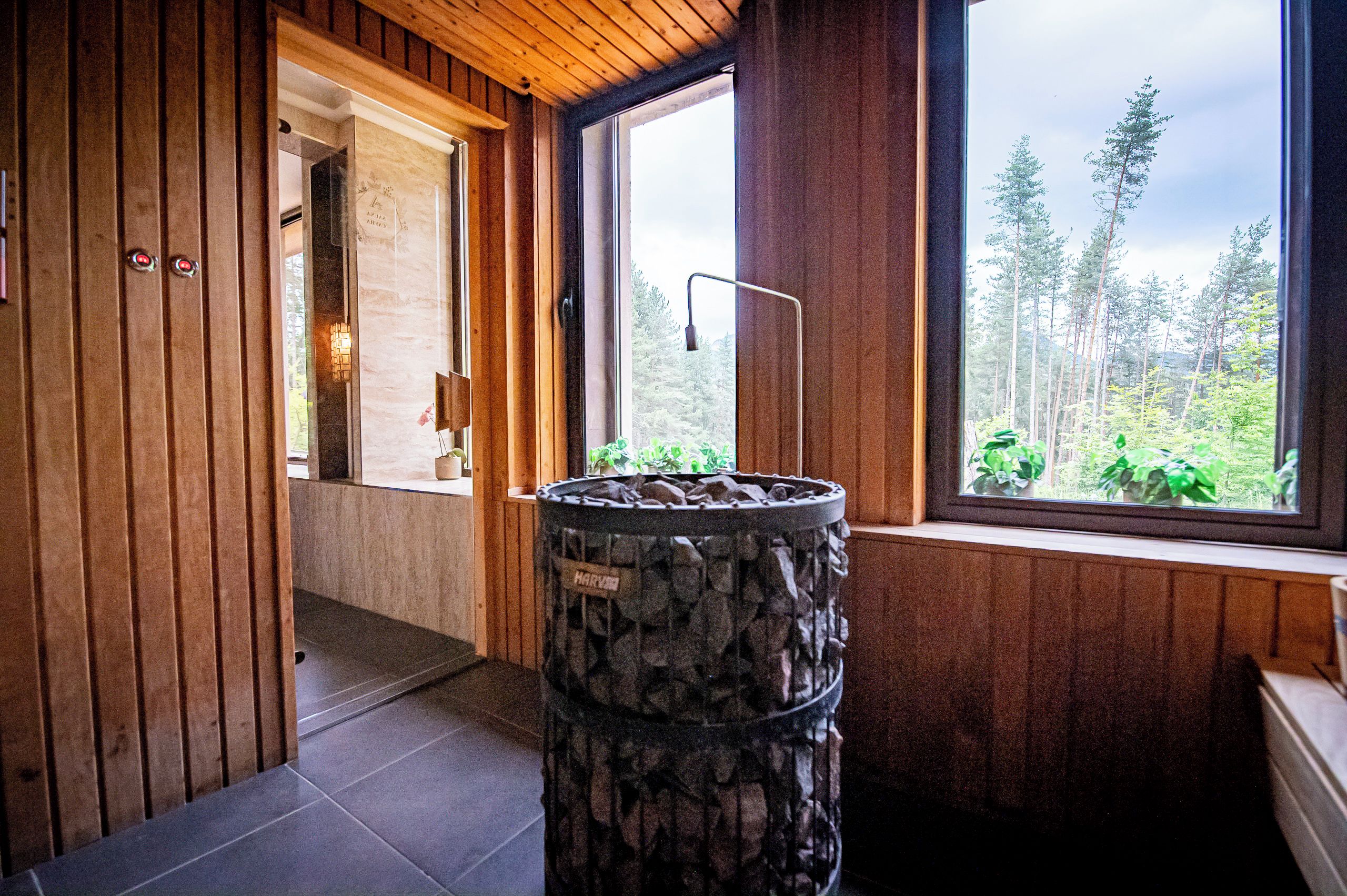 A wooden interior with a stone water feature, a window with a forest view, and a door leading to another room.