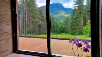 Ein Fenster mit Blick auf eine gebirgige Landschaft, einer gepflasterten Fläche und einem Blumentopf mit violetten Blüten.