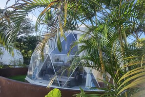 Estrutura em cúpula geodésica transparente com área de estar interna, rodeada por vegetação exuberante.