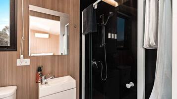 A modern bathroom with a glass shower enclosure, a white sink, and a mirror.