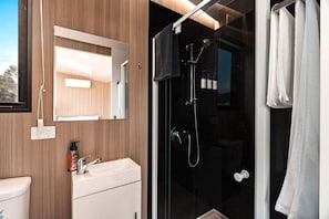 A modern bathroom with a glass shower enclosure, a white sink, and a mirror.