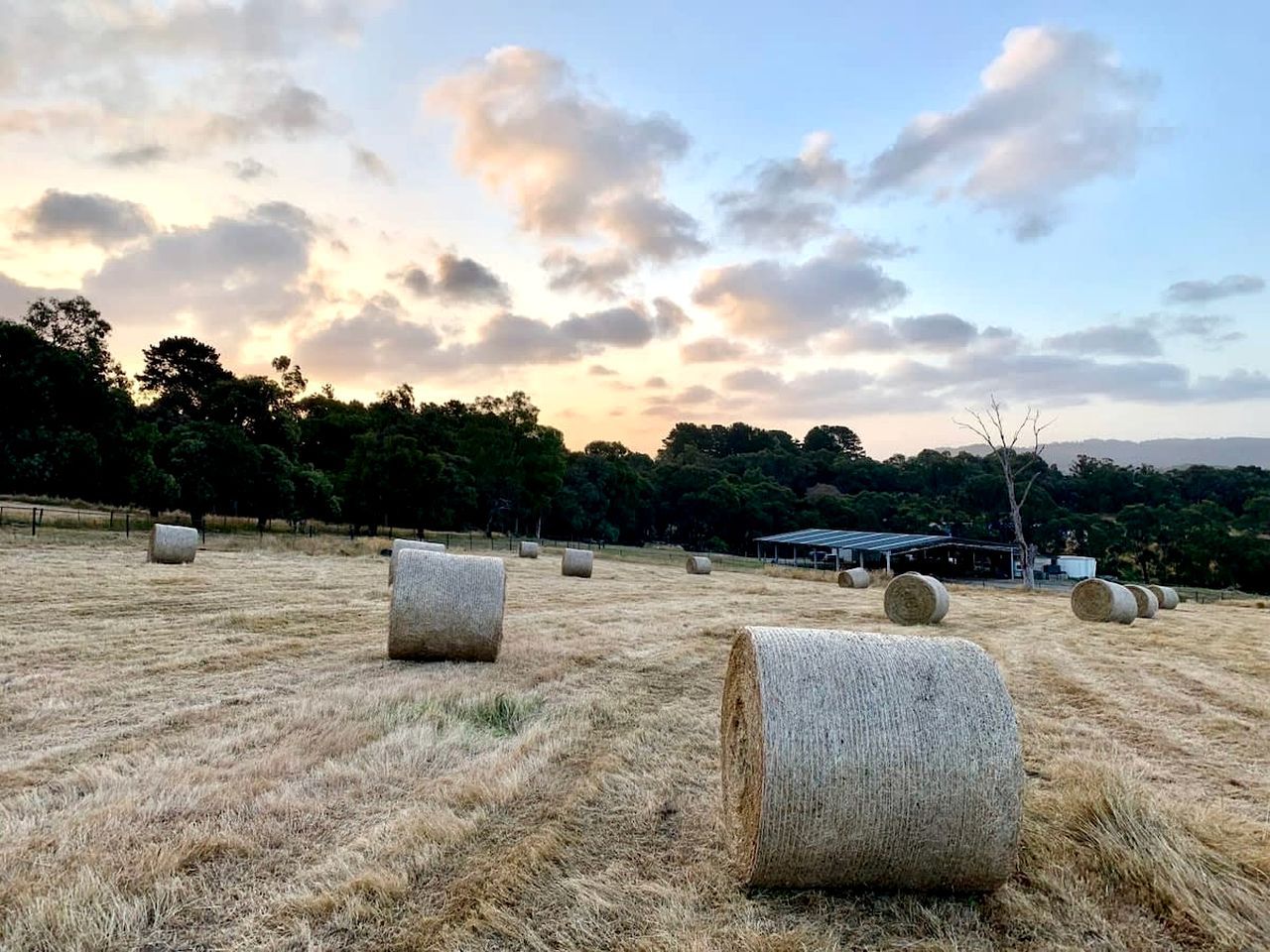 A field with hay bales and a building in the background.