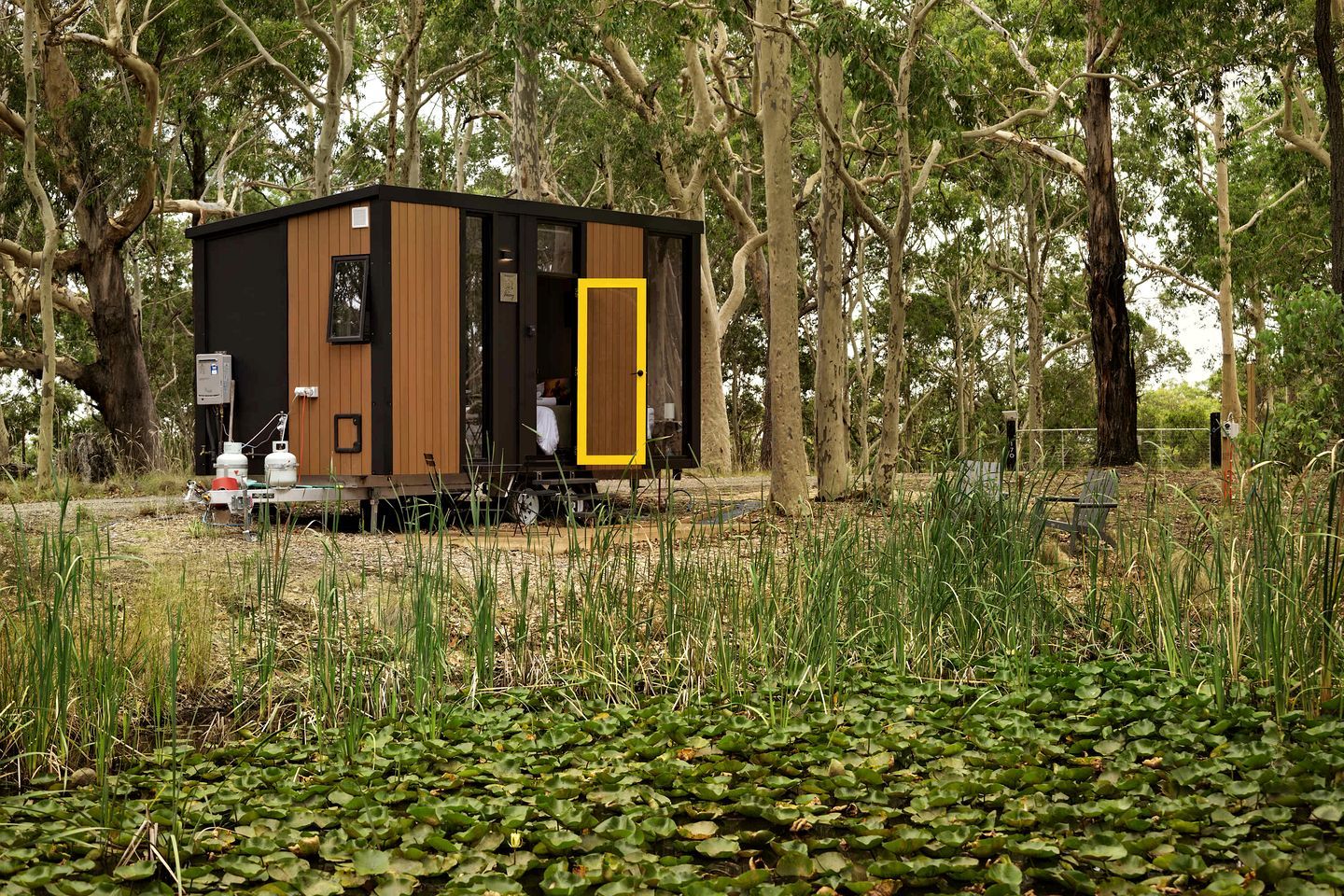 A small cabin-like structure with a yellow door, surrounded by trees and a water body with lily pads.