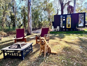 A dog sitting on grass with two chairs and a table nearby.