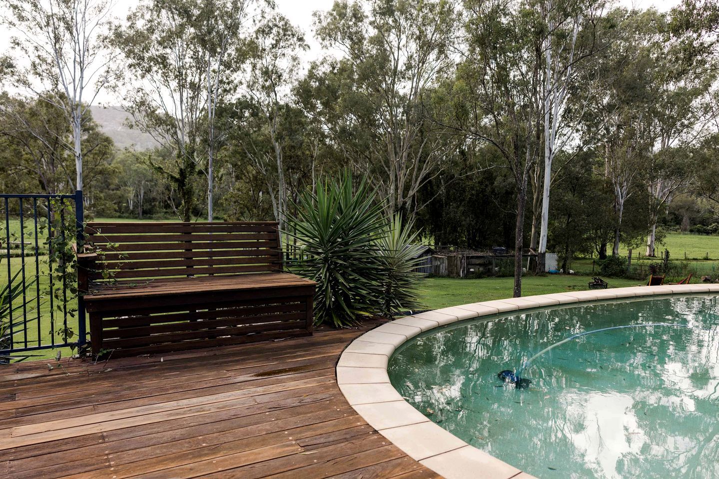 Eine Holzterrasse mit einer Bank, einem Schwimmbad und umgebender Bepflanzung.