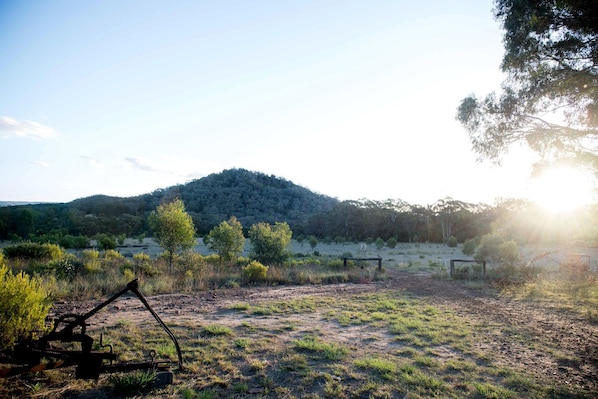 Paisagem rural com uma trilha de terra, vegetação rasteira e uma colina ao fundo.