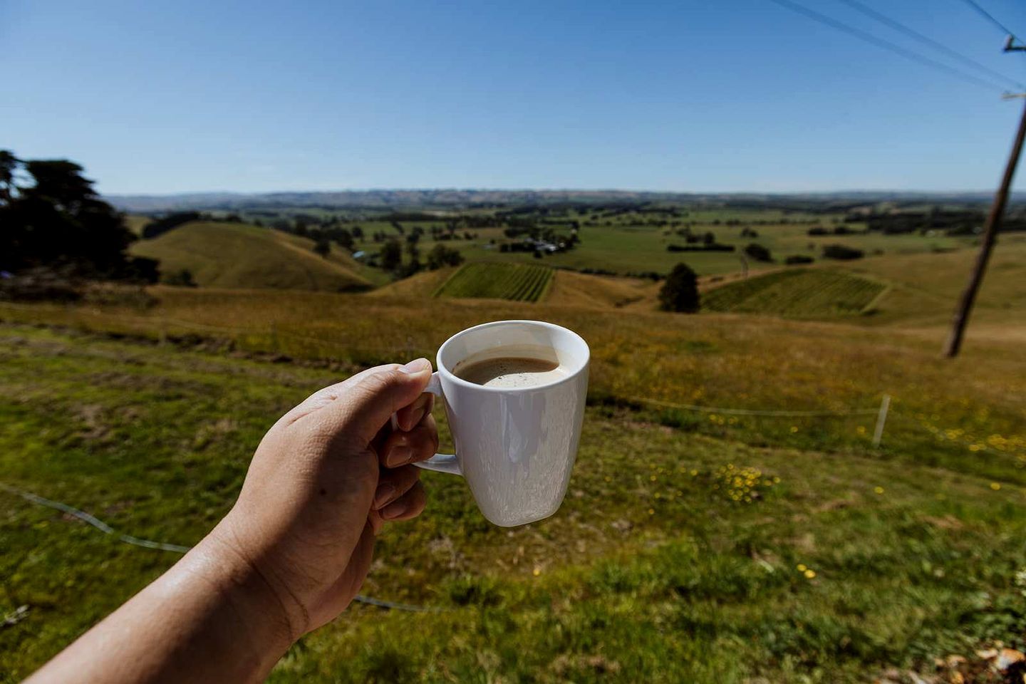 Eine Hand hält eine weiße Tasse mit einem Getränk, vor einer Kulisse aus sanften Hügeln und blauem Himmel.