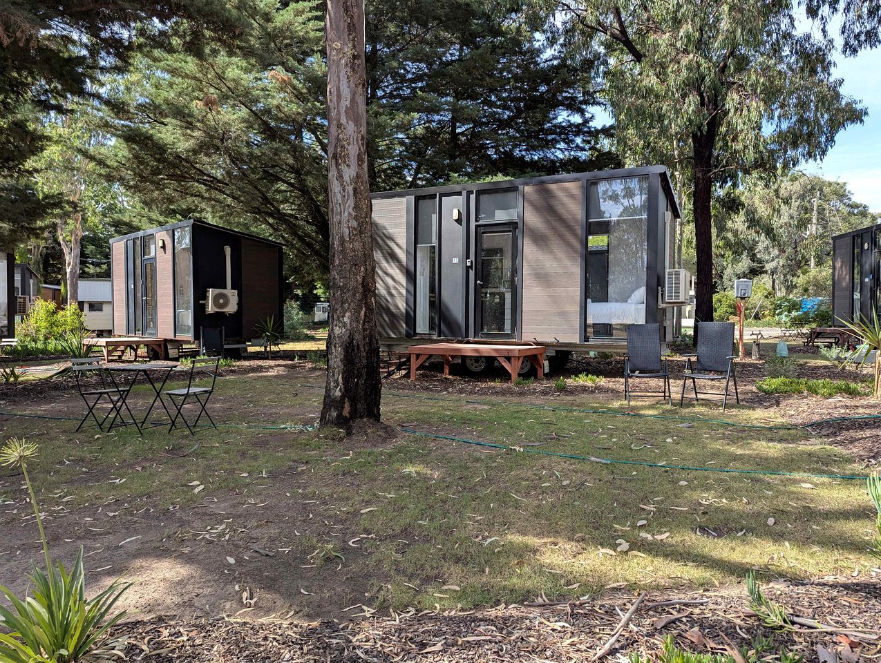 A campsite with portable cabins, a picnic table, and a tree.