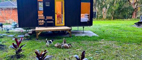 A modern, compact cabin with a visible sleeping area and a small deck.