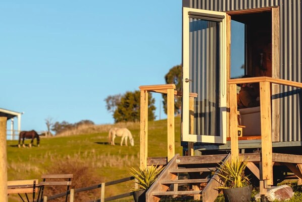 A wooden cabin with a balcony, situated on a grassy hill with horses in the background.