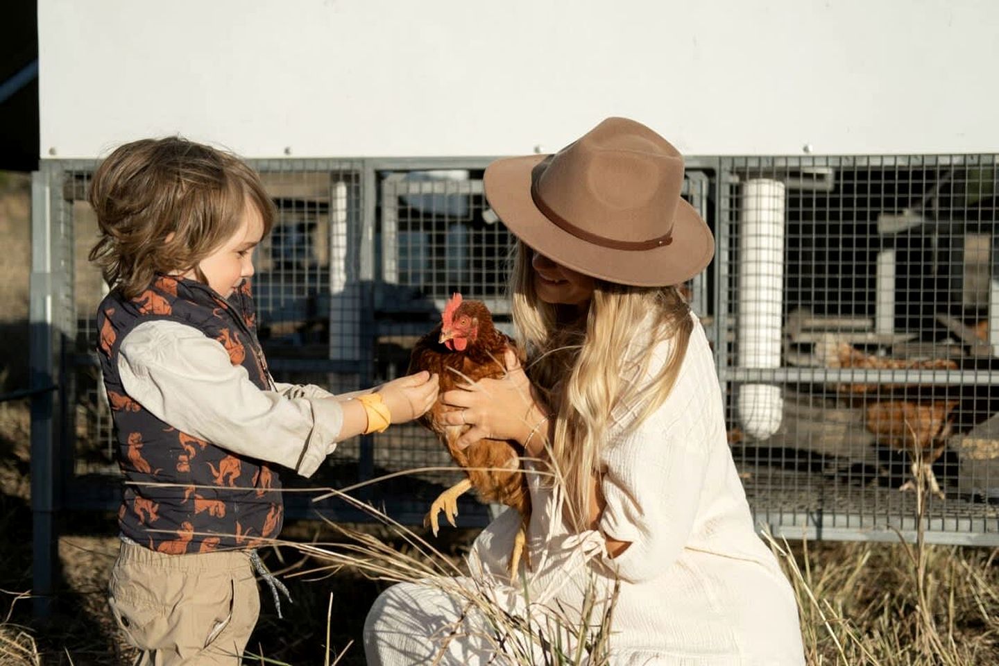 Zwei Personen interagieren mit einem Huhn im Freien, mit einem Metallzaun und weiteren Hühnern im Hintergrund.