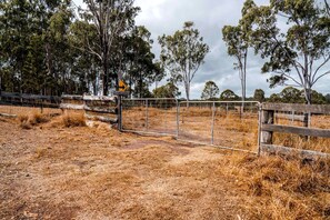 A fenced area with a gate, dry grass, and trees in the background.